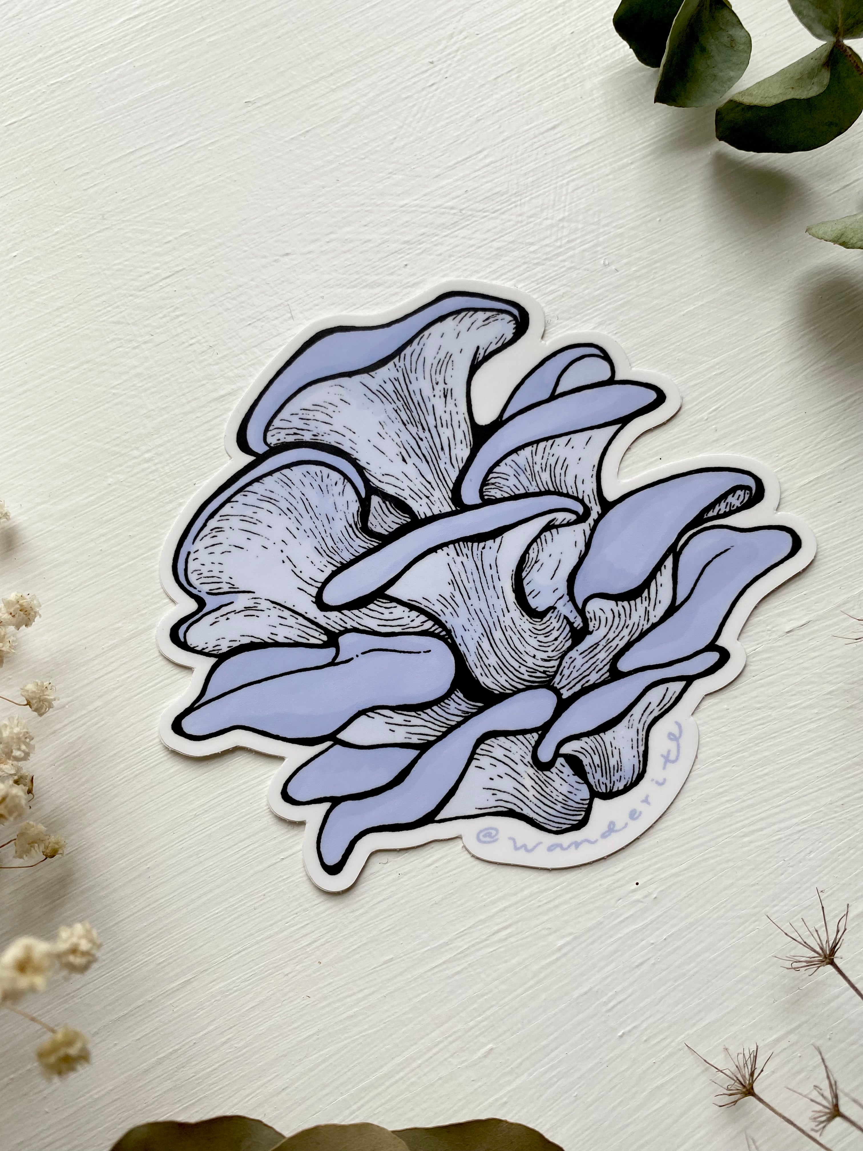 Blue Oyster Mushroom Sticker