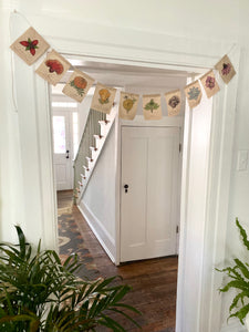 Rainbow Herbs Prayer Flags