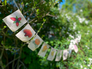 Rainbow Herbs Prayer Flags