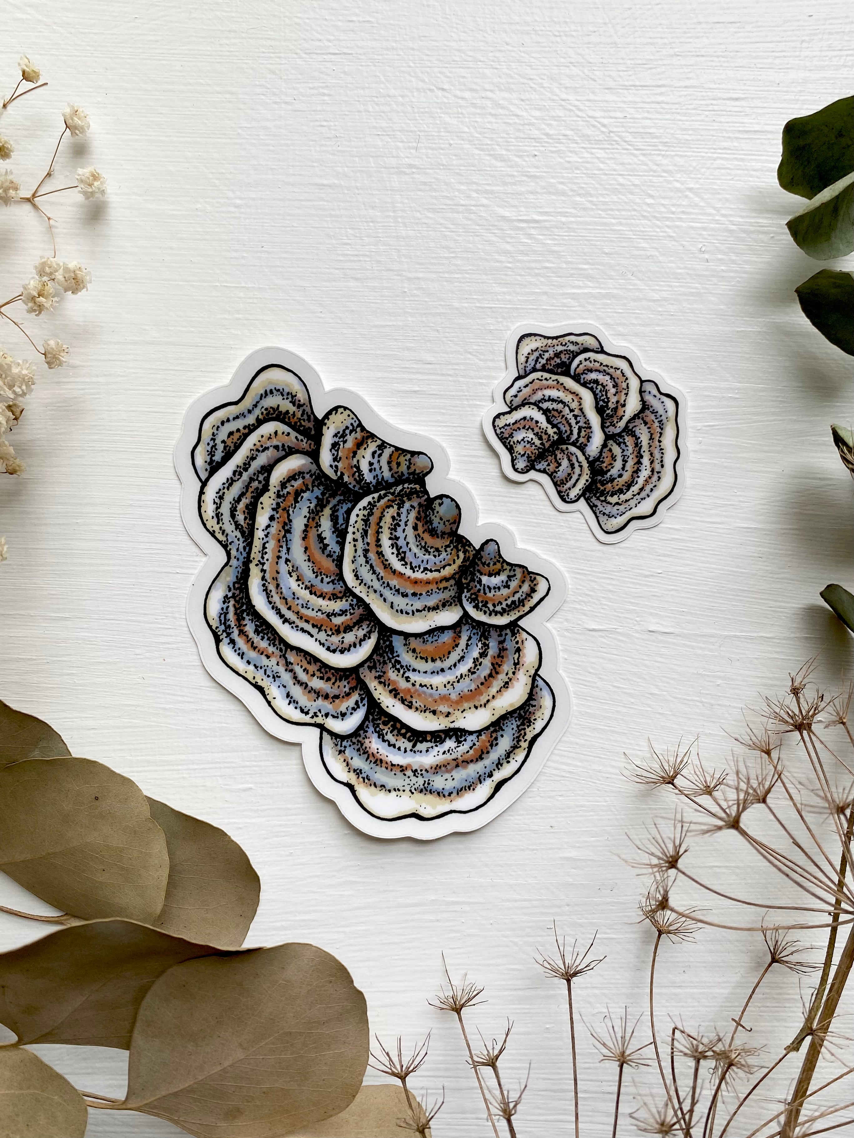 Turkey Tail Mushroom Sticker | Pair