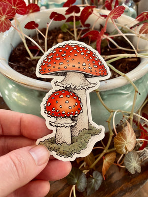 Amanita Mushroom Sticker