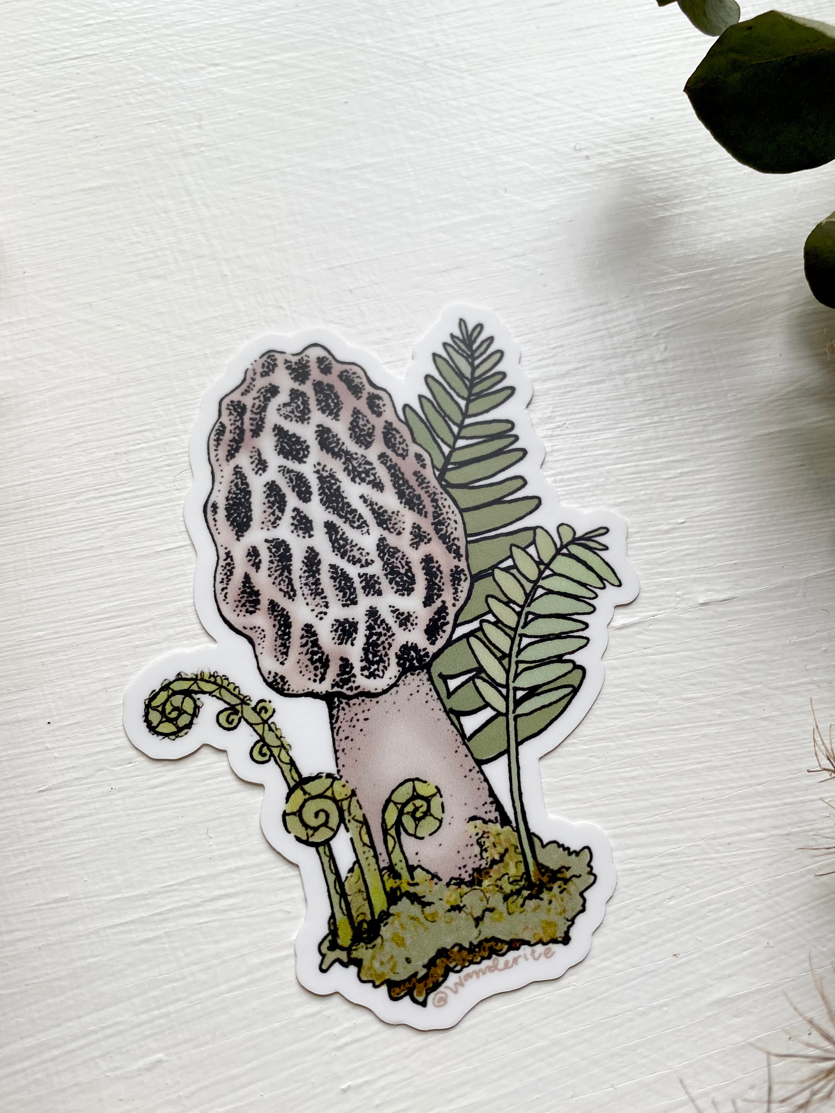 Morel Mushroom Sticker