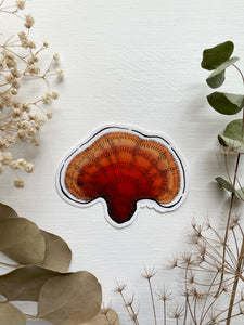 Reishi Mushroom Sticker