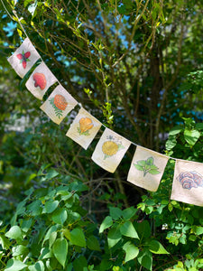 Rainbow Herbs Prayer Flags