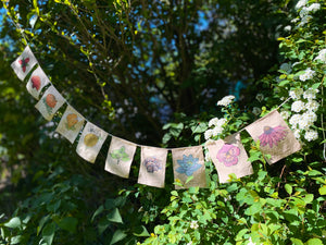 Rainbow Herbs Prayer Flags