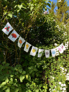 Rainbow Herbs Prayer Flags