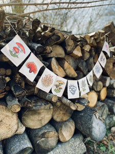 Rainbow Mushrooms Prayer Flags